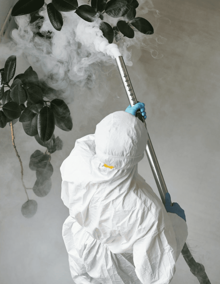 Comment bien choisir son exterminateur en Belgique : les critères qui comptent